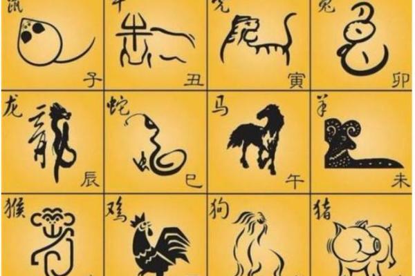 小康人家是什么生肖 小康人家是什么生肖