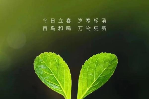 立春是特马打一个生肖 立春是特马打一个生肖