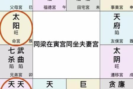 夫妻宫解析揭秘婚姻运势与命理奥秘