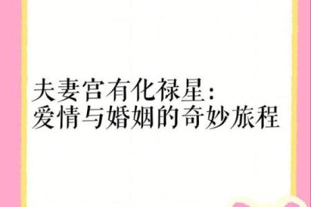 夫妻宫化禄入子女宫 夫妻宫化禄入子女宫什么意思