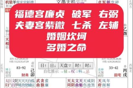 夫妻宫廉贞平 八字夫妻宫查询