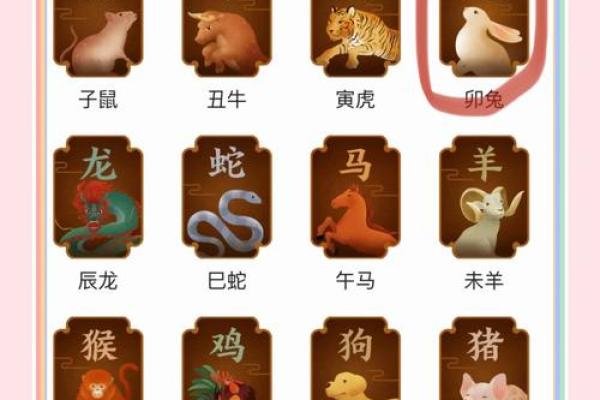 1963年的兔男在2025年的运势 2025年运势解析1963年兔男命运大揭秘 1963年的兔男在2025年的运势 2025年运势解析1963年兔男命运大揭秘