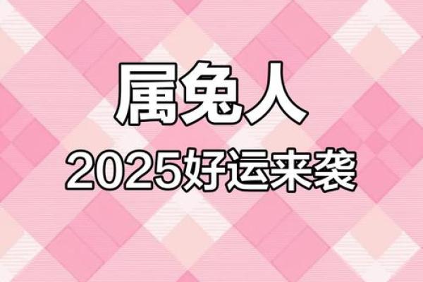 2025属兔全年运势_2025年的属兔人的全年运程
