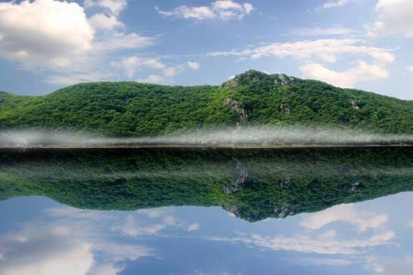 暗无天日打一生肖 暗无天日打一生肖