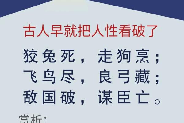 兔死狐悲是什么生肖 兔死狐悲是什么生肖