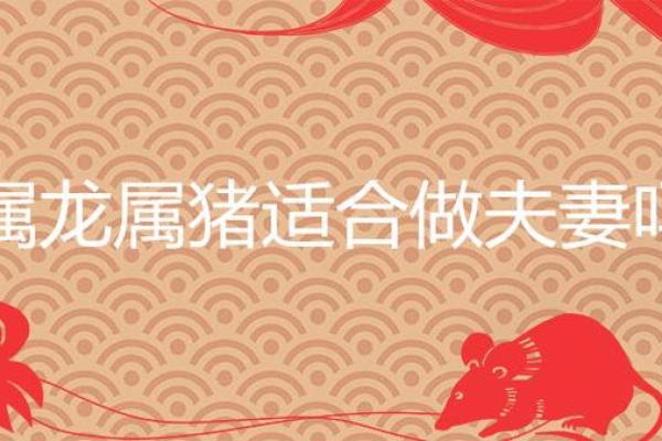 男属猪女属龙婚配合适吗 农历七月生肖婚配解析男猪女龙是否天生一对 男属猪女属龙婚配合适吗 农历七月生肖婚配解析男猪女龙是否天生一对