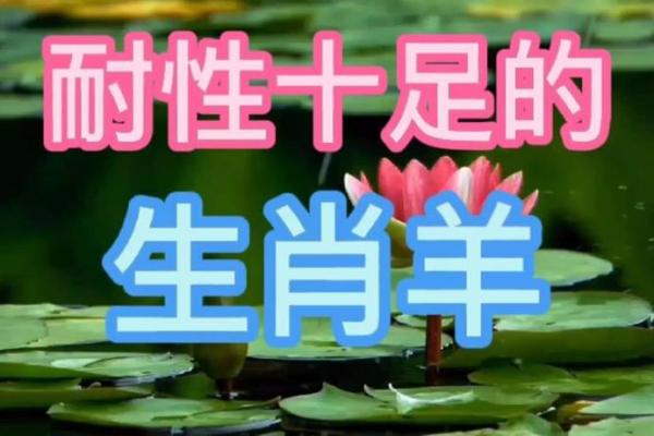 寻花问柳指什么生肖