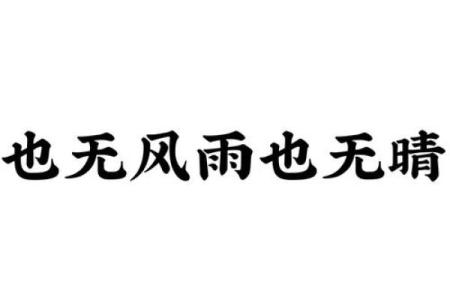 风雨无阻打一个生肖