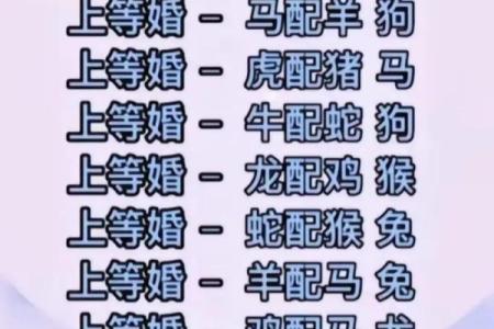 掩耳盗铃开过什么生肖