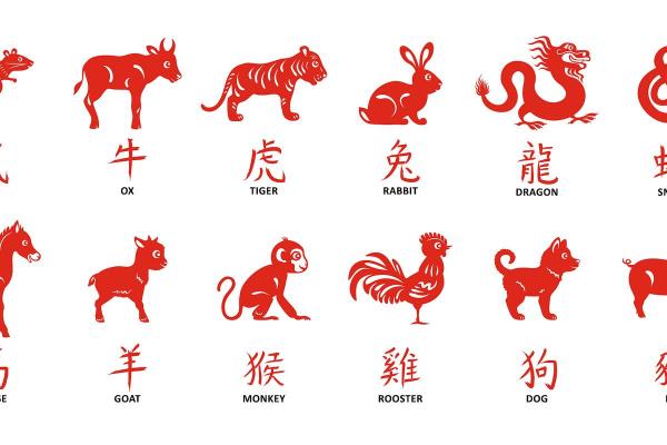 千载难逢开过什么生肖