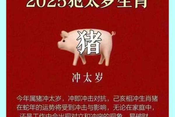 75年男兔2025年运势完整版_2025年1983猪男全年运势如何