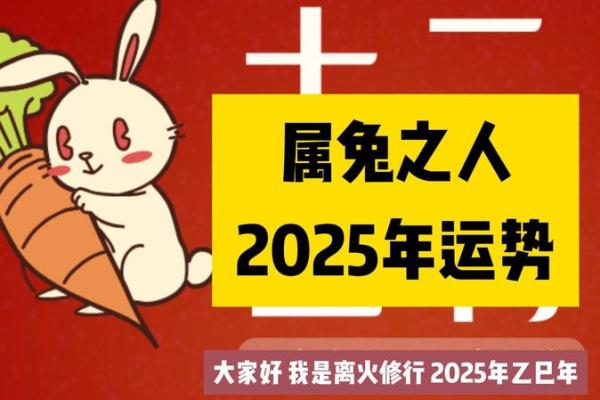 2025年属兔的今年几岁年龄计算与运势解析 2025年属兔的今年几岁年龄计算与运势解析