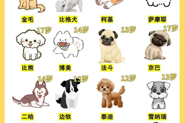属狗今年几岁了