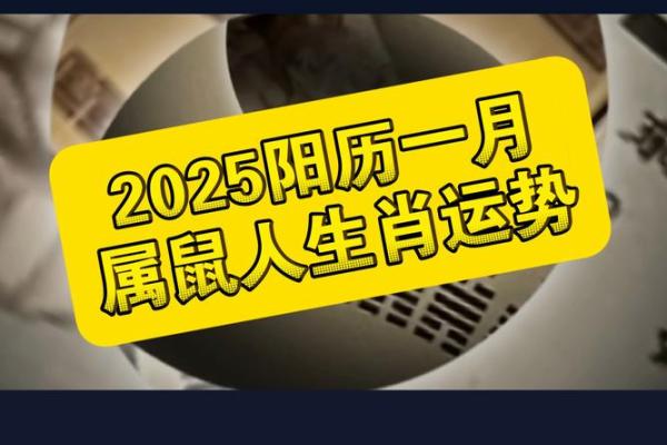 1972年属鼠2025年运势及运程女性 1972年属鼠2025年运势及运程女性