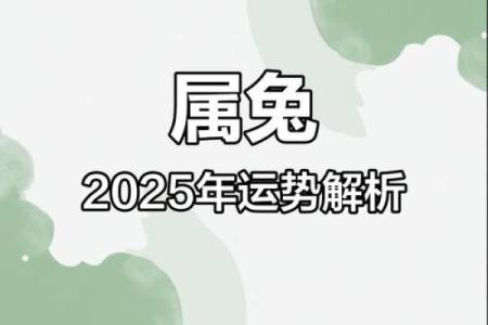 2025年属兔人幸运色_2025年属蛇1977人的幸运颜色