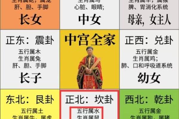 1984年属鼠2025年运势及运程详解 1984年属鼠2025年运势及运程详解