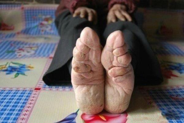 三寸金莲是什么生肖 三寸金莲是什么生肖