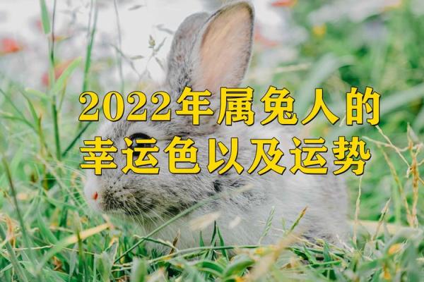 2025属兔的今年多大了 2025年属兔的人今年多大年龄计算与运势解析