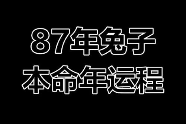 1987年属兔2025年的每月运势及运程_1987年属兔2024年运势及运程每月运程 1987年属兔2025年的每月运势及运程_1987年属兔2024年运势及运程每月运程