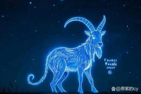 1979年白羊座在2025年运势(1979年属羊白羊座2021年运势)