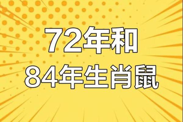 72年属鼠今年运势每月