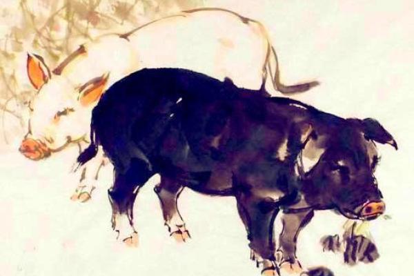 东家夫子打一生肖 东家夫子打一生肖