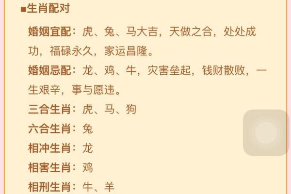 属狗和属鸡的婚姻如何_属狗和属鸡的婚姻如何化解 属狗和属鸡的婚姻如何_属狗和属鸡的婚姻如何化解