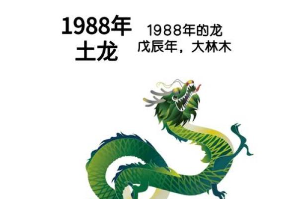 1988属龙2025年运势全解全年运程与逐月吉凶预测 1988属龙2025年运势全解全年运程与逐月吉凶预测