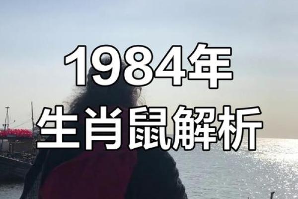 1984年属鼠2025年运势