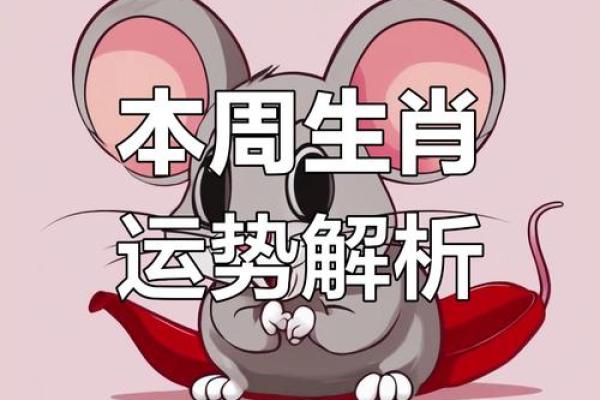 84年属鼠的今日运势查询 84年属鼠的今日运势查询