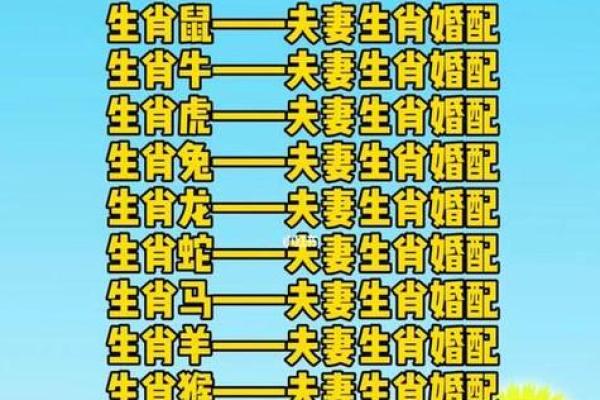 七星伴月指的是什么生肖