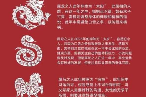 2025属鼠每月运势