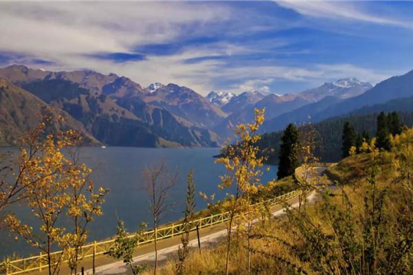 风光无限打一生肖 风光无限打一生肖