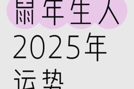 84属鼠人2025年全年运势运程