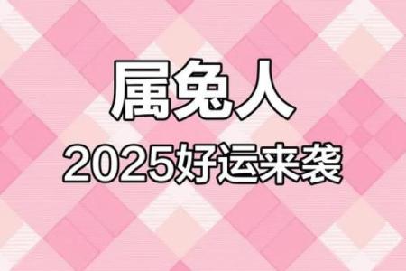 属兔的2025年有多大_2025年兔子