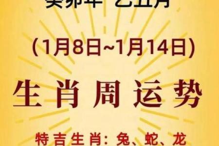 1984年属鼠的2025年全年运势如何