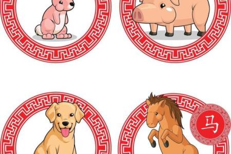 形影不离是什么生肖