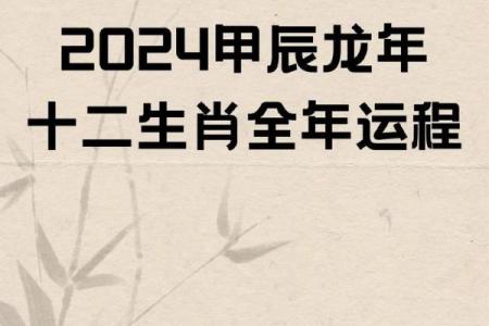 属龙人2025年运势运程_2025年属龙人的全年运势女性