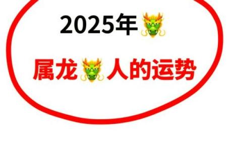 属龙人2025年的运势 属龙人2025年的运势及运程