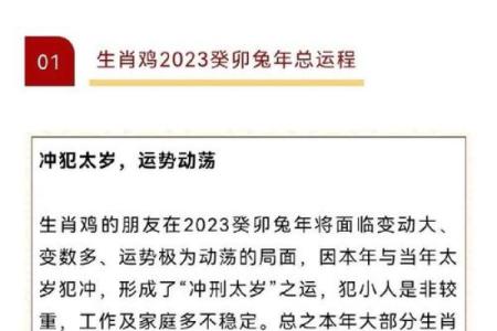1981年属鸡人2024年运势及运程 1981年属鸡人2024年运势详解财运事业感情全解析