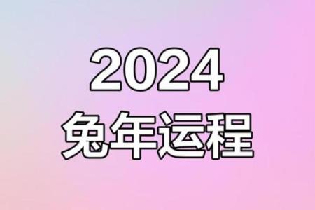 属兔2024年的运势及运程_2024年属兔运势详解全年运程及注意事项