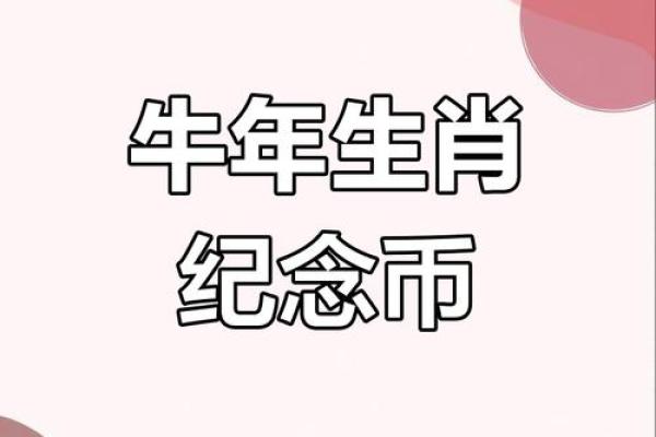 2009年是什么生肖年