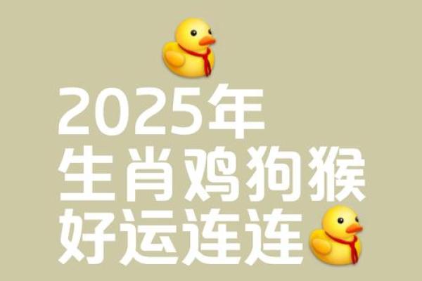 2025生肖鸡1981运势_2025年生肖鸡1981年出生者运势详解 2025生肖鸡1981运势_2025年生肖鸡1981年出生者运势详解