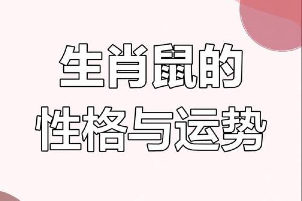 1972年属鼠人的运势