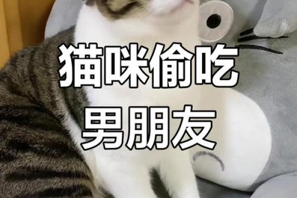 属狗女为什么有男友了还想去再勾搭一个 属狗女为什么有男友了还想去再勾搭一个