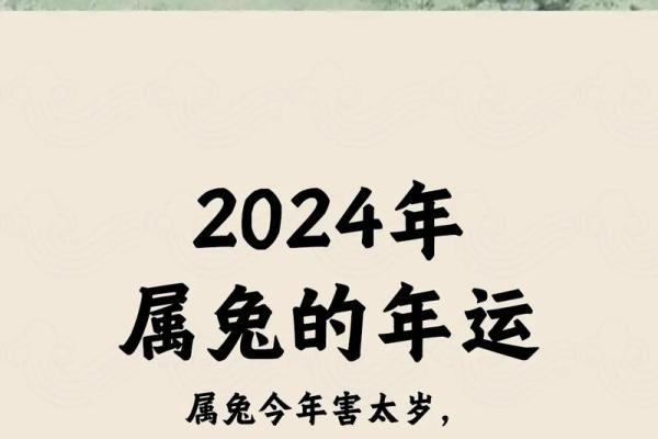 属兔2025年虚岁多大_2025年属兔人虚岁多大详细年龄计算指南