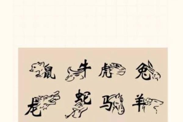 落难凤凰不如鸡是指什么生肖