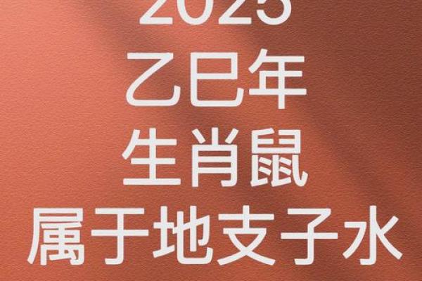 1972年属鼠男2025年全年运势 1972年属鼠男2025年全年运势