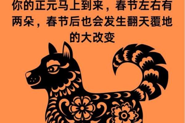 1972年鼠女2025年运势 1972年鼠女2025年运势