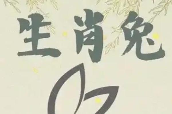 今年什么年2025年 兔年 2025年兔年运势解析今年什么年兔年大揭秘